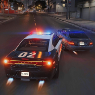 模拟美国警察解密