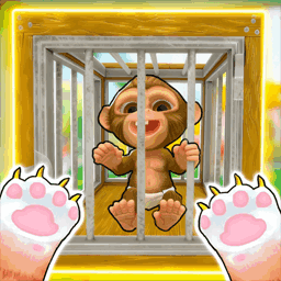 小猫咪快乐生活