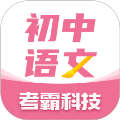 初中语文大师